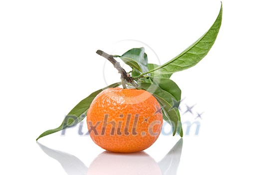 Tangerine with green leaves isolated on white Tangerine with green leaves isolated on white