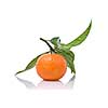 Tangerine with green leaves isolated on white