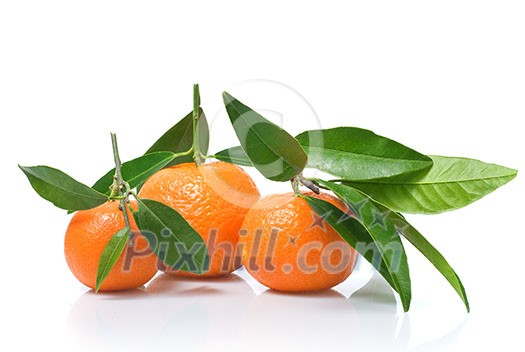 Tangerines with green leaves isolated on white