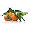 Tangerines with green leaves isolated on white