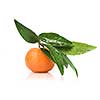 Tangerine with green leaves and water drops isolated on white
