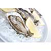 raw oysters with lemon and ice