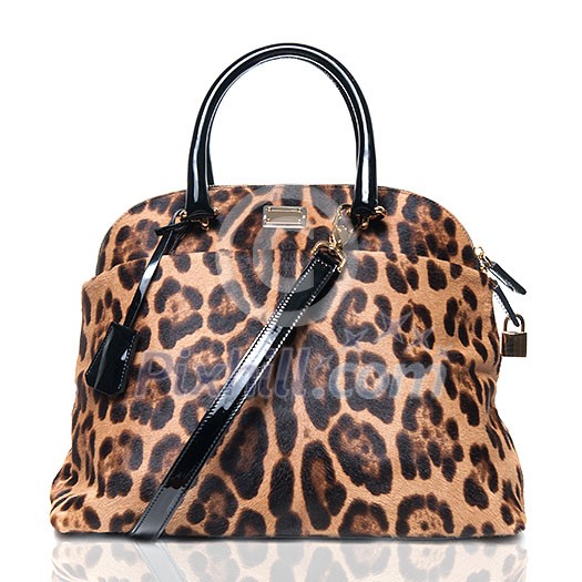 luxury leopard female bag isolated on white luxury leopard female bag isolated on white