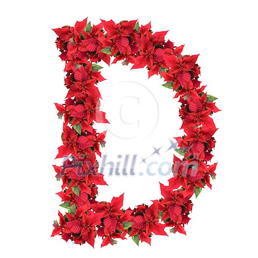 letter from red christmas flowers isolated on white letter from red christmas flowers isolated on white