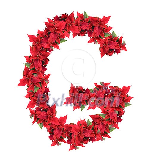 letter from red christmas flowers isolated on white letter from red christmas flowers isolated on white