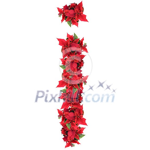 letter from red christmas flowers isolated on white letter from red christmas flowers isolated on white