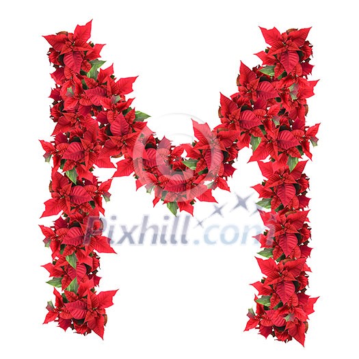 letter from red christmas flowers isolated on white letter from red christmas flowers isolated on white