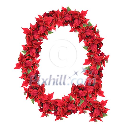 letter from red christmas flowers isolated on white letter from red christmas flowers isolated on white