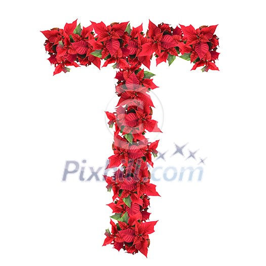 letter from red christmas flowers isolated on white letter from red christmas flowers isolated on white