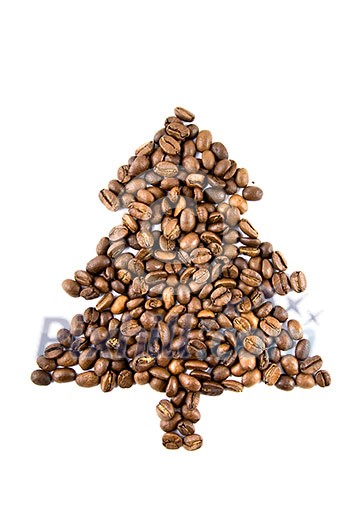 fir-tree from coffee beans isolated on white fir-tree from coffee beans isolated on white
