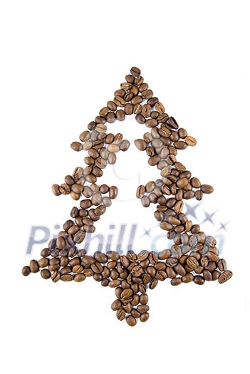 fir-tree from coffee beans isolated on white fir-tree from coffee beans isolated on white