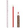 Red thick and thin pencils with ruler isloated on white