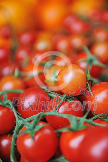 fresh healthy organic food fruits and vegetables at market fresh healthy organic food fruits and vegetables at market