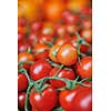 fresh healthy organic food  fruits and vegetables at market