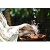 splashing fresh  water drops on girl soft skin  care for sensuality woman hands