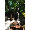 splashing fresh  water drops on girl soft skin  care for sensuality woman hands