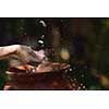 splashing fresh  water drops on girl soft skin  care for sensuality woman hands
