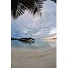 tropical beach nature landscape with white sand at summer