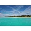 tropical beach with white sand at summer