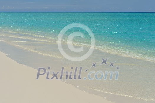 tropical beach nature landscape with white sand at summer tropical beach nature landscape with white sand at summer