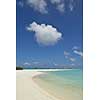 tropical beach nature landscape scene with white sand at summer