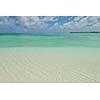 tropical beach nature landscape with white sand at summer