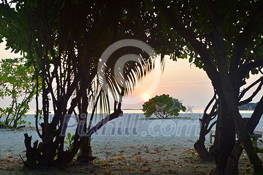 tropical beach nature landscape with white sand at summer tropical beach nature landscape with white sand at summer