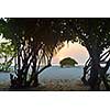 tropical beach nature landscape with white sand at summer
