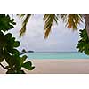 tropical beach with white sand at summer