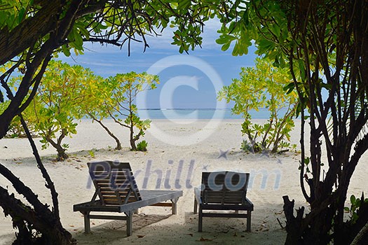 Two chairs beds in forest on tropical beach with blue ocean in background Two chairs beds in forest on tropical beach with blue ocean in background
