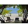 Two chairs beds in forest  on tropical beach with blue ocean in background