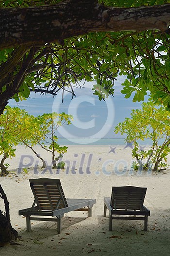 Two chairs beds in forest on tropical beach with blue ocean in background Two chairs beds in forest on tropical beach with blue ocean in background