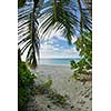 tropical beach nature landscape scene with white sand at summer