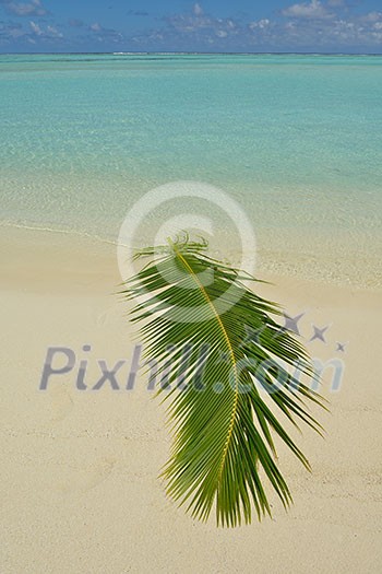 tropical beach nature landscape with white sand at summer tropical beach nature landscape with white sand at summer
