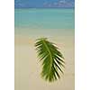 tropical beach nature landscape with white sand at summer