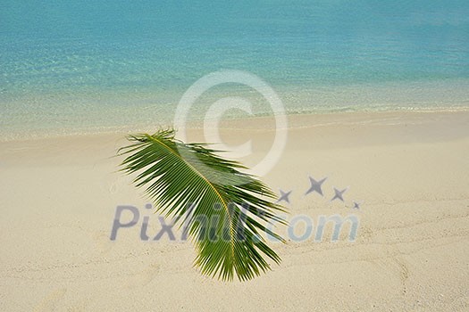 tropical beach nature landscape scene with white sand at summer tropical beach nature landscape scene with white sand at summer