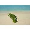 tropical beach nature landscape scene with white sand at summer