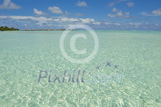 tropical beach nature landscape with white sand at summer tropical beach nature landscape with white sand at summer