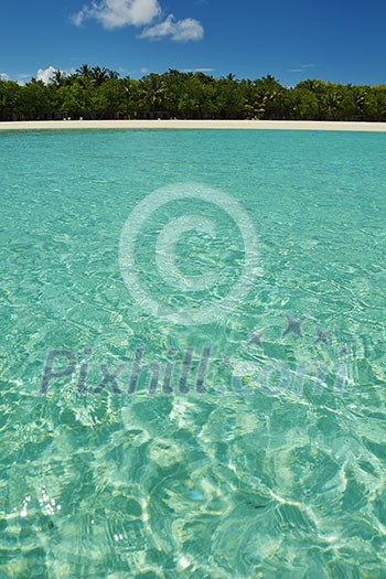 tropical beach with white sand at summer tropical beach with white sand at summer