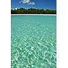 tropical beach with white sand at summer