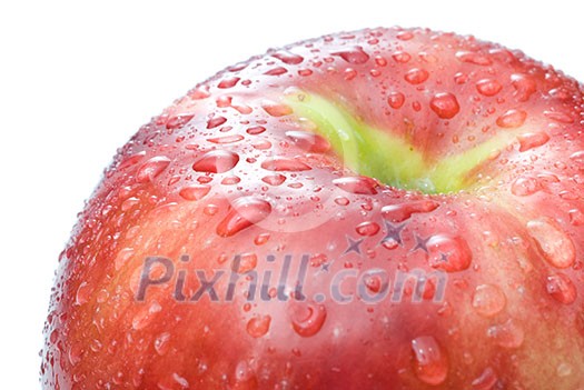 red apple with water drops isolated on white red apple with water drops isolated on white