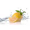Water splash on grapefruit with mint isolated on white