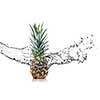 pineapple with water splash isolated on white