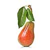 red pear with leaves isolated on white