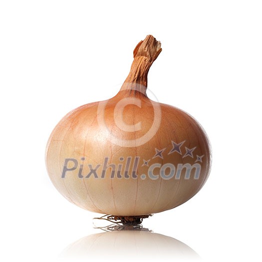onion isolated on white