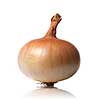 onion isolated on white