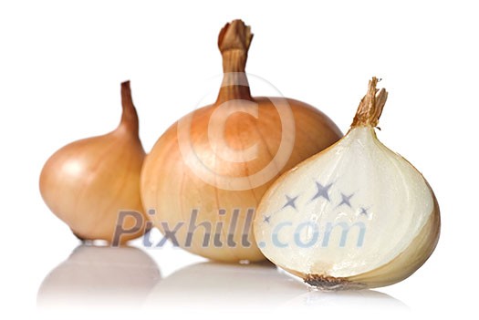 onion isolated on white onion isolated on white