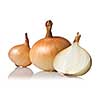 onion isolated on white