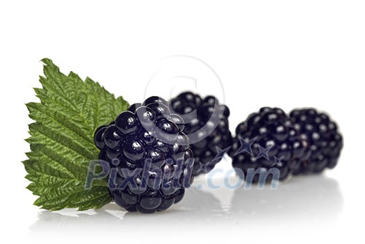 blackberry with green leaf isolated on white blackberry with green leaf isolated on white