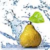 yellow pear with leaf and water splash isolated on white 